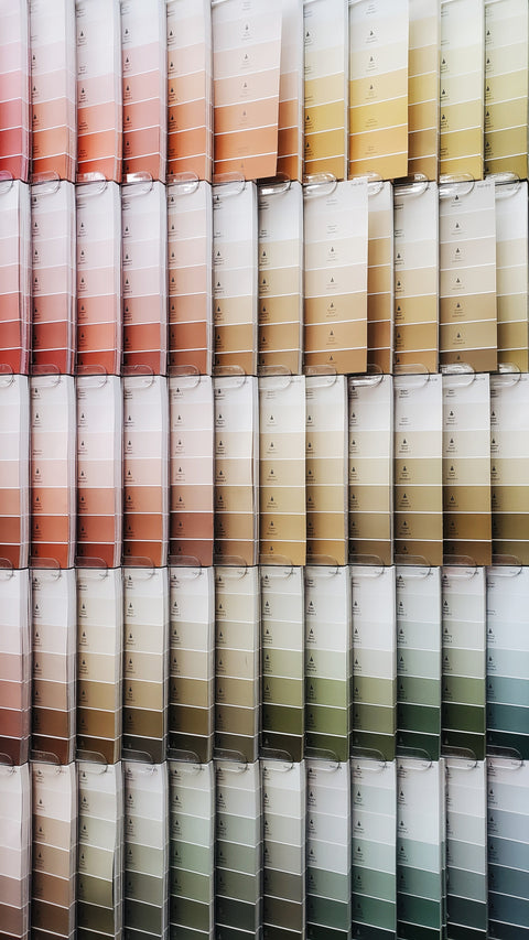 Explore Seasonal Color Palettes
